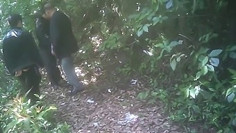 Gay Asian Park Encounter With Daddy And Blowjob