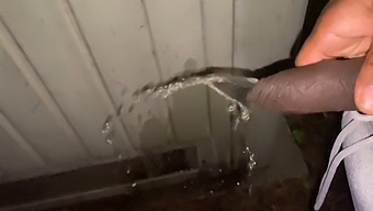 Flashing And Pissing In Public: A Woman'S Daring Adventure